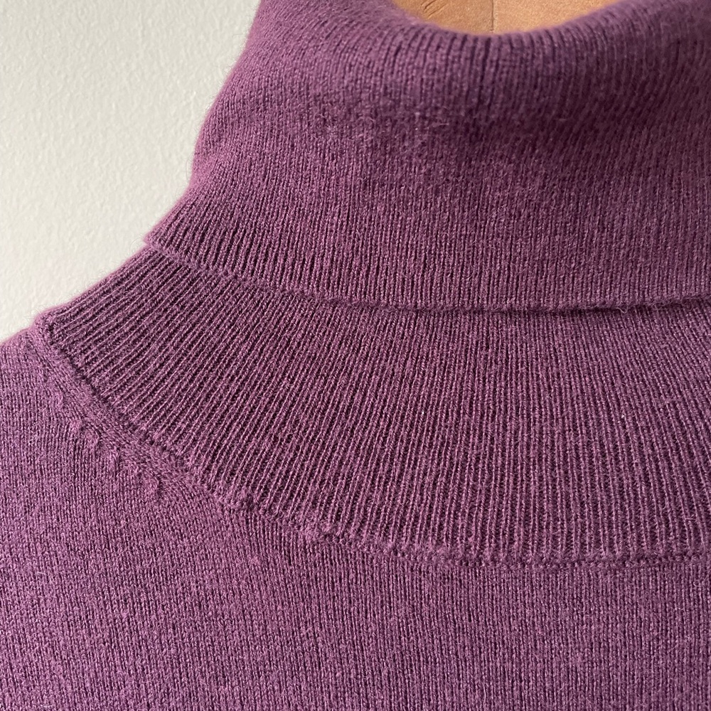 Massimo Dutti Men’s Turtleneck Sweater in Burgundy